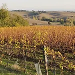 Cosy En Pleine Nature A Grazac (Tarn)